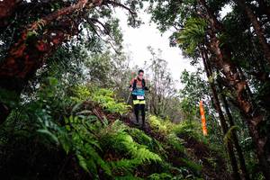 BIB: 
                            <button type="button" onclick="openModal(26205296)" class="btn btn-primary btn-sm float-right btn-popup" data-toggle="modal" data-target=".modal-high-quality">
                        <i class="fas fa-shopping-cart"></i> Add to Cart
                    </button>
                                            <button type="button" onclick="isThisMe(26205296, true)" class="btn btn-success btn-sm float-right btn-popup btn-isme hidden" data-toggle="tooltip" data-placement="bottom" title="นี่คือรูปของคุณใช่ไหม คลิกที่นี่เพื่อเอาเข้าอัลบั้ม">
                        <i class="fas fa-plus"></i> Add to album
                    </button>
                    <button type="button" onclick="isThisMe(26205296, false)" class="btn btn-warning btn-sm float-right btn-popup btn-isnotme hidden">
                        <i class="fas fa-ban"></i> Remove from album
                    </button>